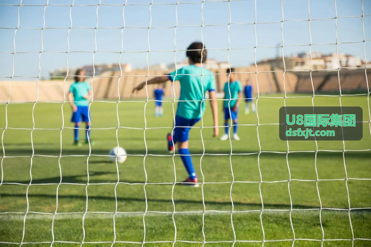U8国际集团全球网络